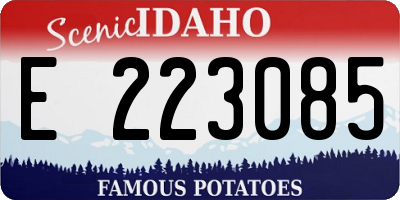 ID license plate E223085