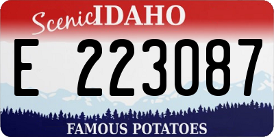 ID license plate E223087