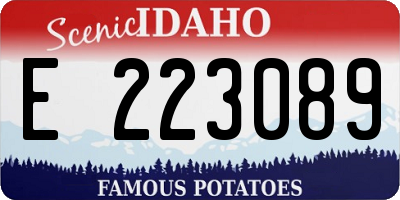 ID license plate E223089