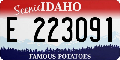 ID license plate E223091