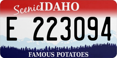 ID license plate E223094