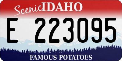 ID license plate E223095