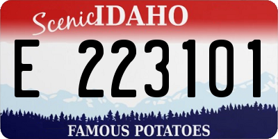 ID license plate E223101