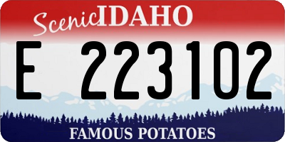ID license plate E223102