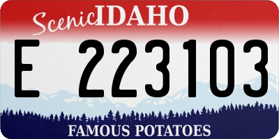 ID license plate E223103