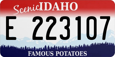 ID license plate E223107