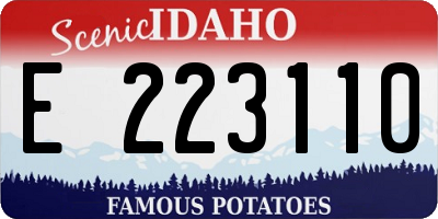 ID license plate E223110