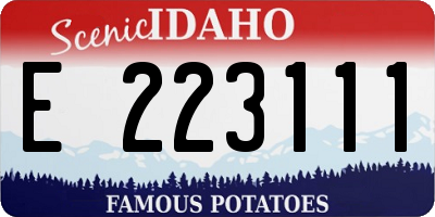 ID license plate E223111