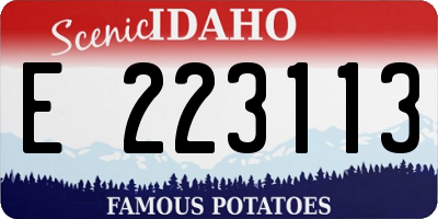 ID license plate E223113