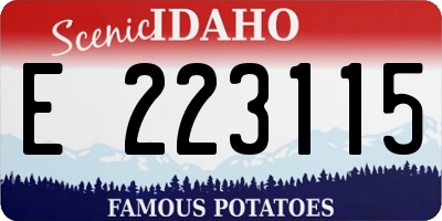 ID license plate E223115