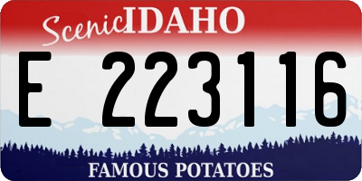 ID license plate E223116