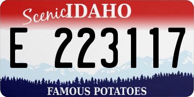 ID license plate E223117