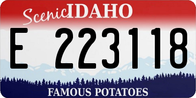 ID license plate E223118
