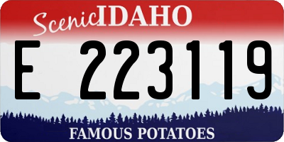 ID license plate E223119