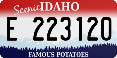 ID license plate E223120