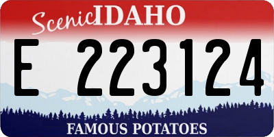 ID license plate E223124