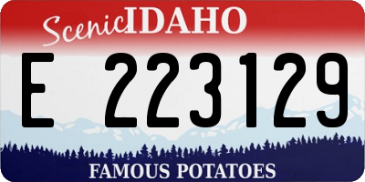 ID license plate E223129