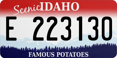ID license plate E223130