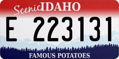 ID license plate E223131
