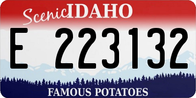 ID license plate E223132