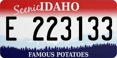ID license plate E223133