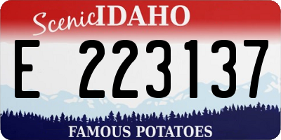ID license plate E223137