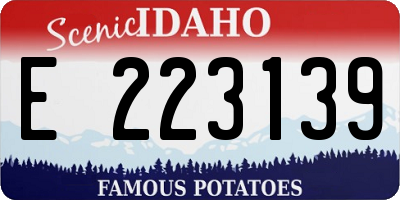 ID license plate E223139