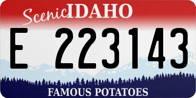 ID license plate E223143