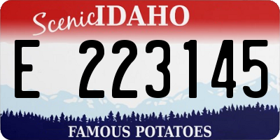 ID license plate E223145