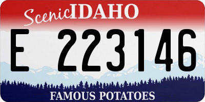 ID license plate E223146