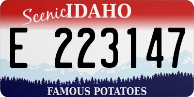ID license plate E223147