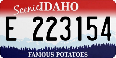 ID license plate E223154