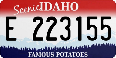 ID license plate E223155