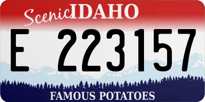 ID license plate E223157