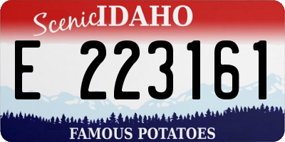 ID license plate E223161