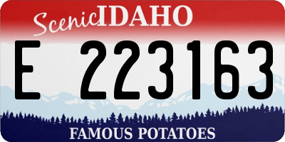 ID license plate E223163