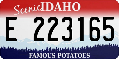 ID license plate E223165
