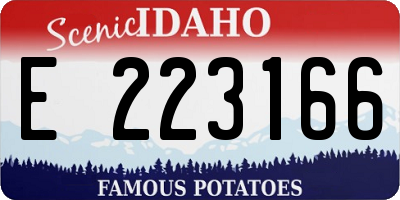 ID license plate E223166
