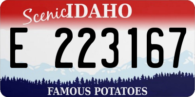 ID license plate E223167
