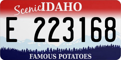 ID license plate E223168