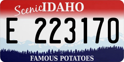 ID license plate E223170