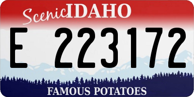 ID license plate E223172