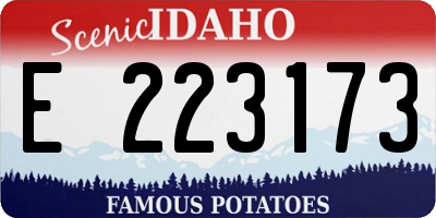 ID license plate E223173