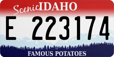 ID license plate E223174