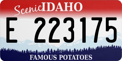ID license plate E223175