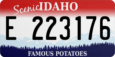 ID license plate E223176