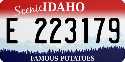 ID license plate E223179