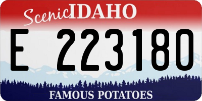 ID license plate E223180