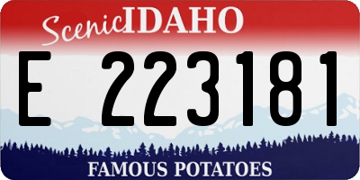 ID license plate E223181