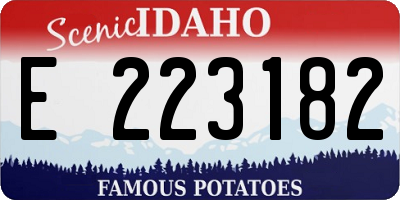 ID license plate E223182